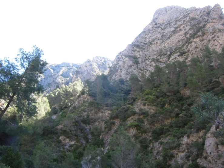 many very tall rocky mountains on one side with trees on the other