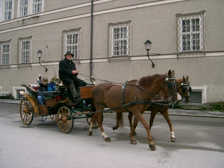 two people riding on a cart that is pulled by a brown horse