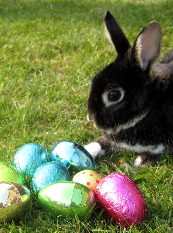 some very cute bunny rabbits near some easter eggs