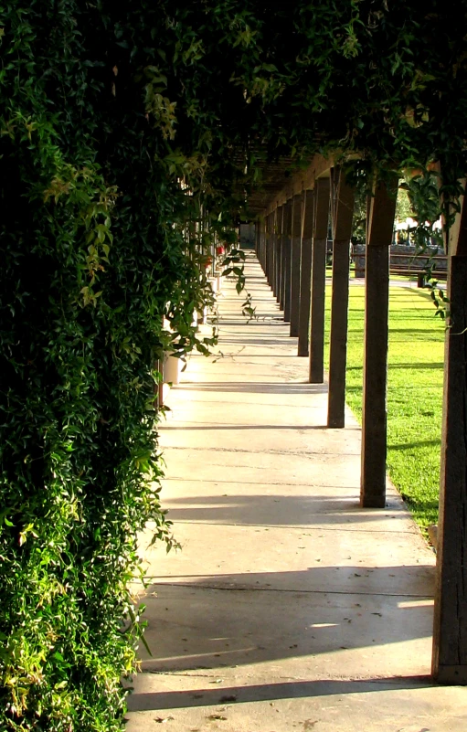 a row of pillars covered in green plants