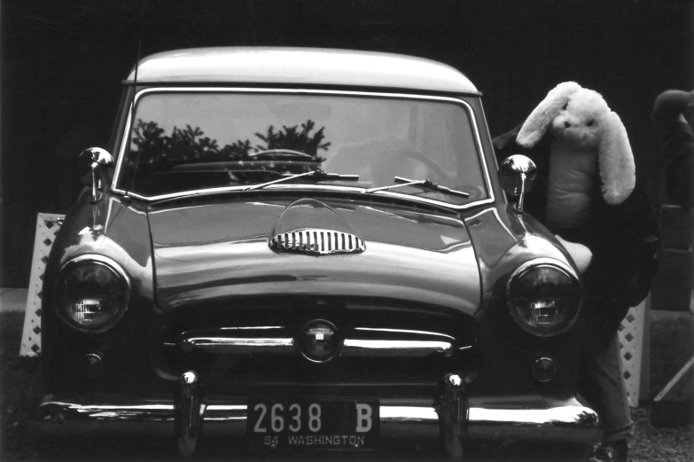 a teddy bear stands behind the front of an old car