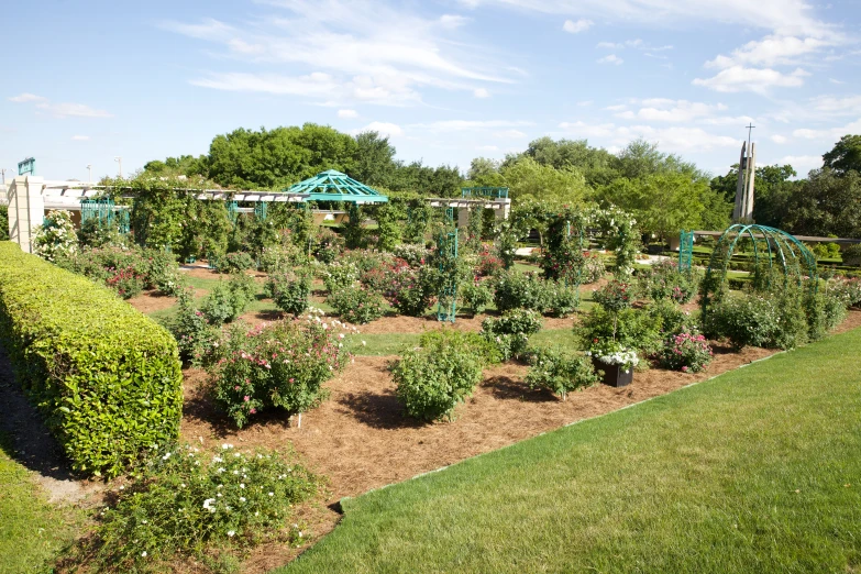 the garden is full of plants and trees