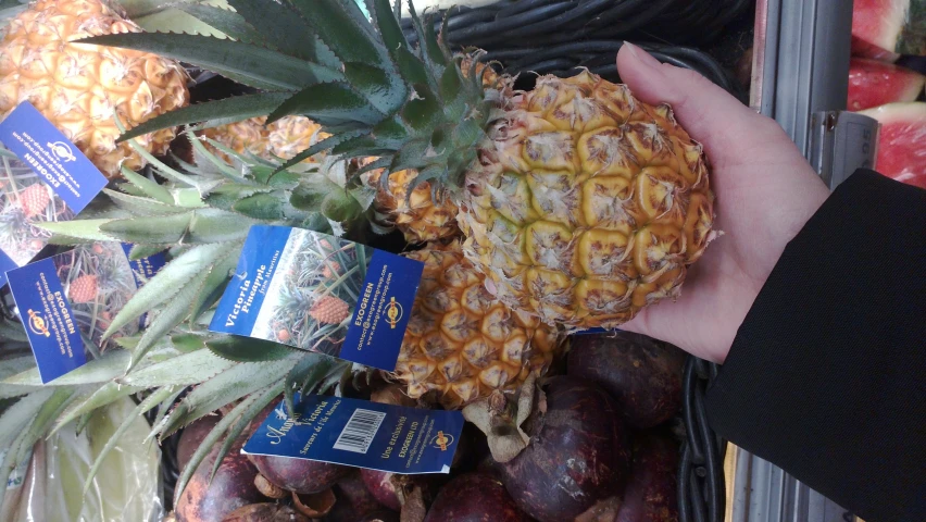 this is someone holding up some pineapples in the store