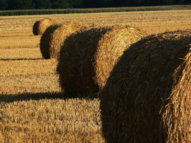 two bales are standing in the middle of a field