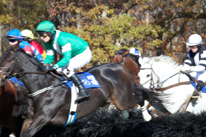 jockeys race horses in the autumn racing