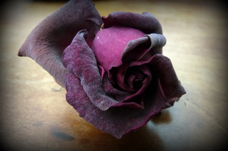 a pink rose is on a table that is wooden