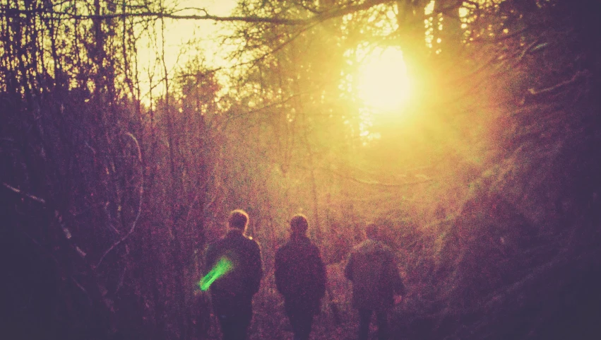 the sun shining in the forest and people walking