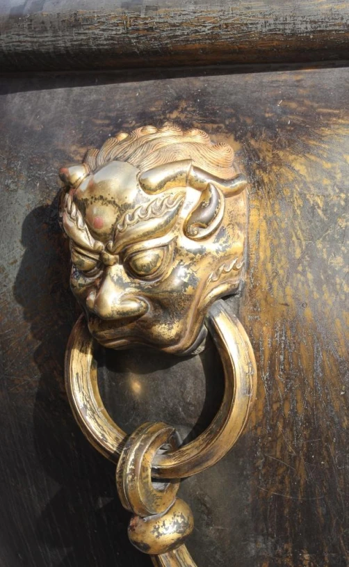 a bronze lion's head knocket is attached to a door