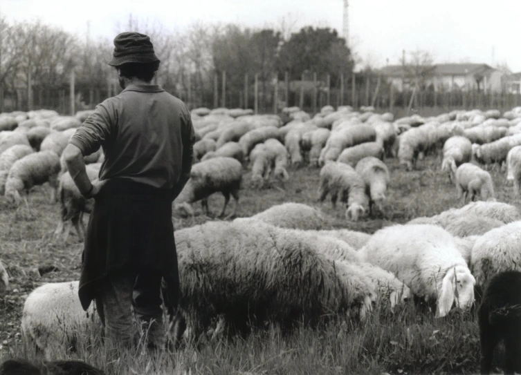 a man with a hat standing in front of sheep