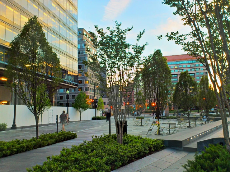 a park that has several trees and benches