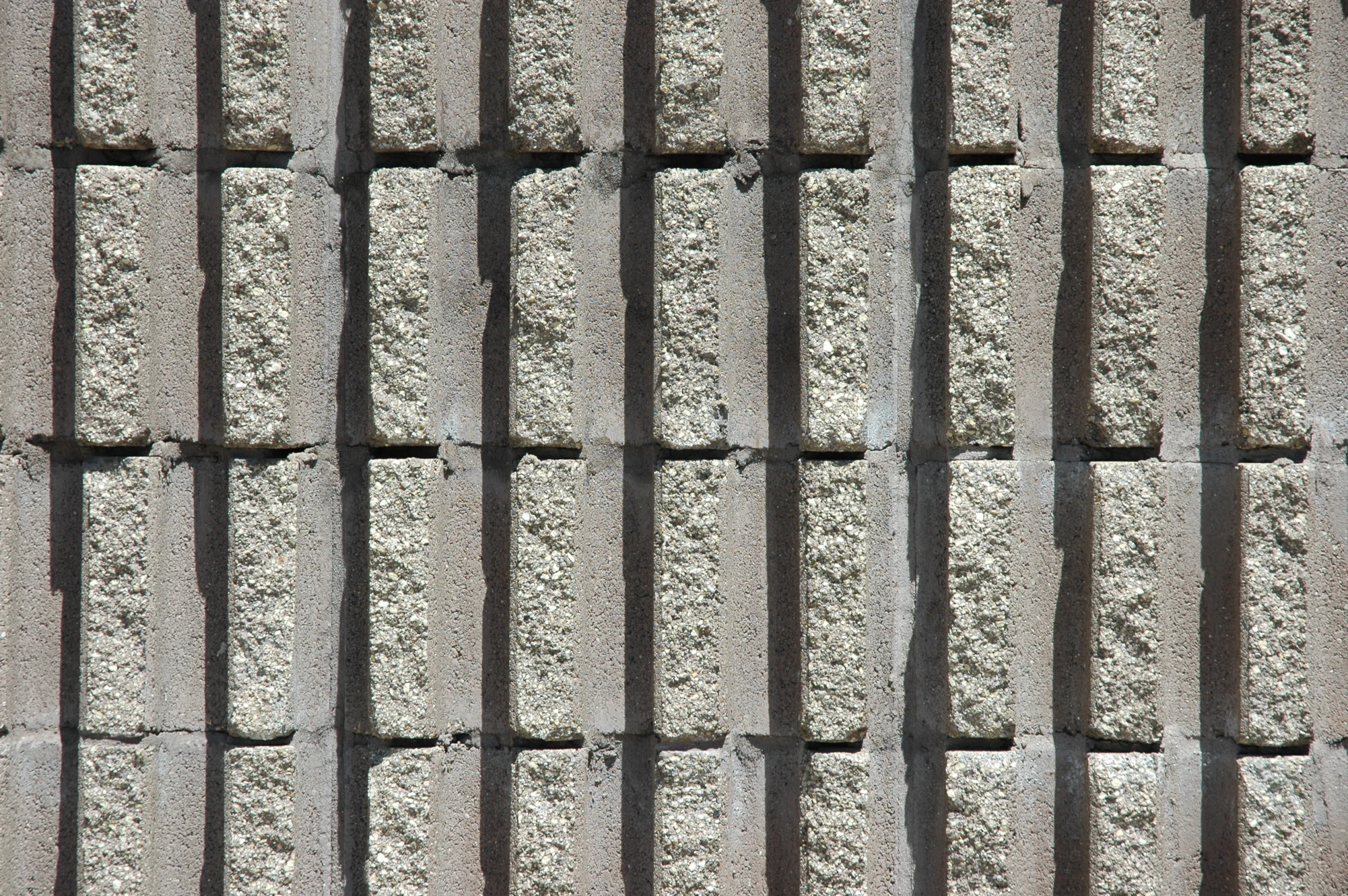 the bricks of a wall in concrete are lined with the sun