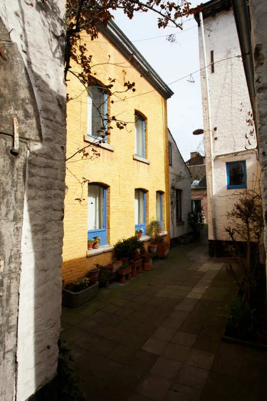 looking down the back alley of an old yellow house