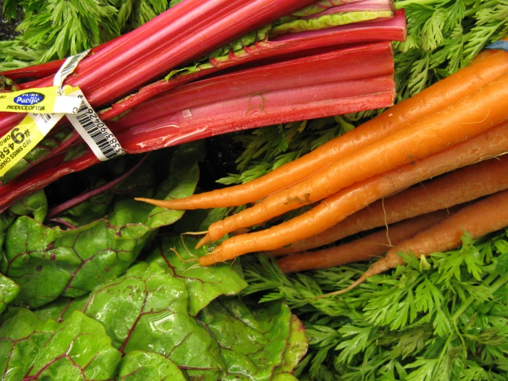 carrots, radishes and beets are in a pile