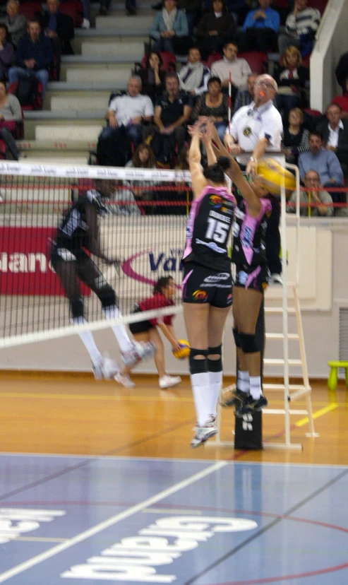 people playing volleyball with crowd watching in indoor stadium