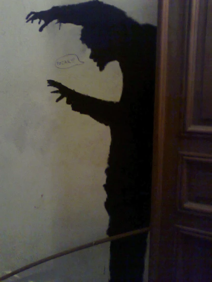 shadow from a standing person in front of a bathroom mirror