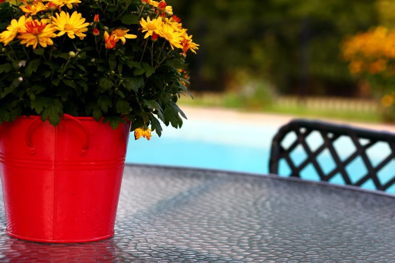 there is a flower pot on top of the table