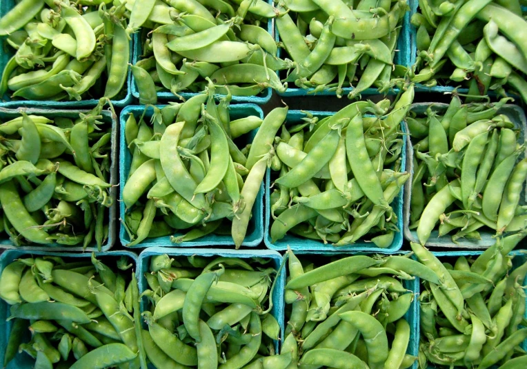 pea pods piled up in a bunch for sale