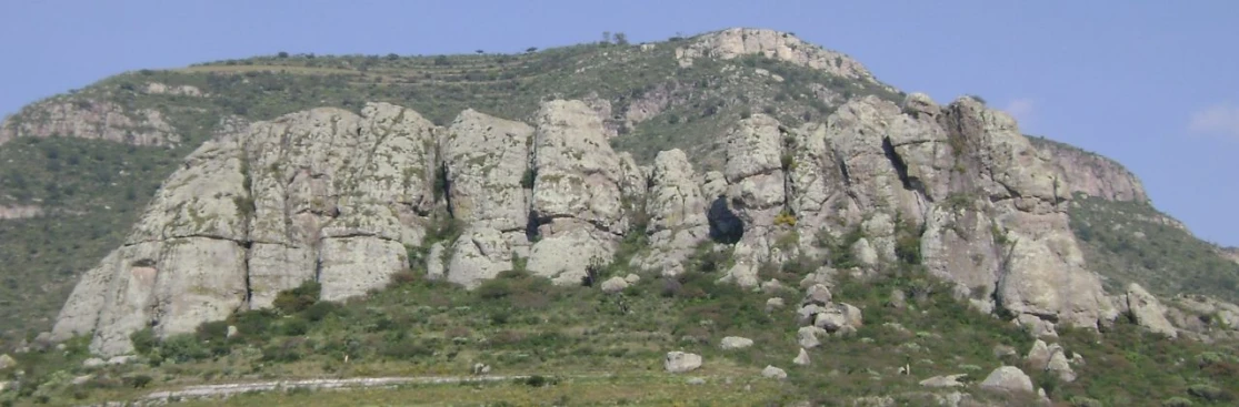 a hill side on the edge of the ocean with a tree on top