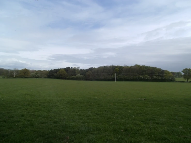 an open grassy field with trees in the background