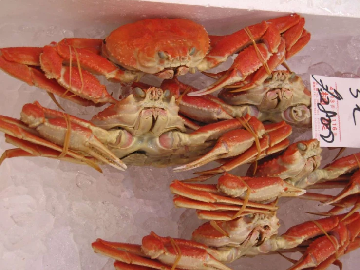 a pile of lobsters sitting on display for sale