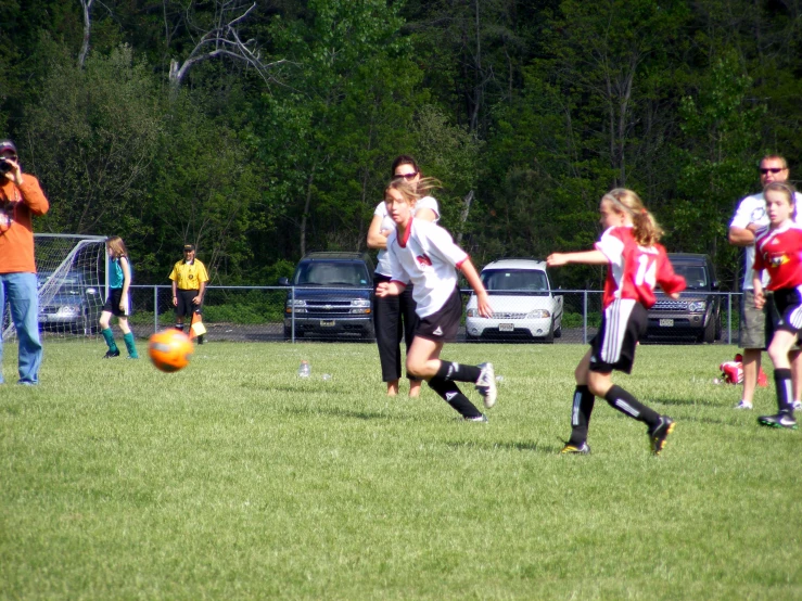 a group of people are playing a game on grass