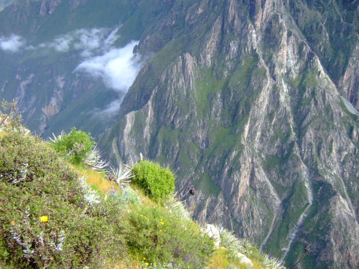 a couple of people are on the side of a mountain