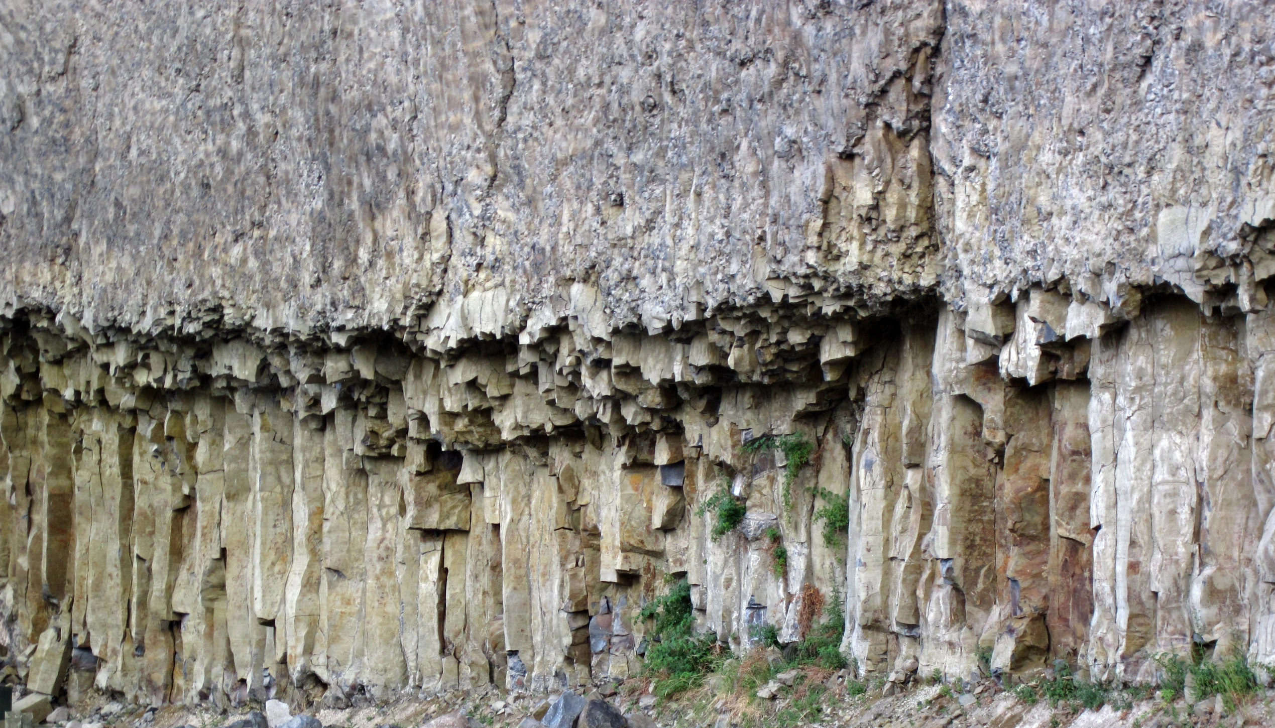 there are bats attached to the walls that have been washed down