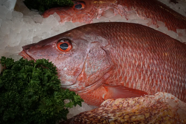 an odd shape fish and some vegetables on ice