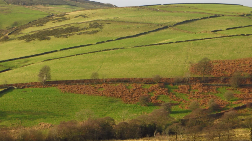 a green hill is in the middle of a pasture with lots of tree lined fields