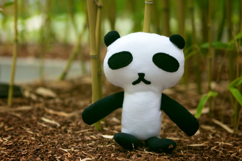 a stuffed panda bear sitting on the ground in front of bamboo plants