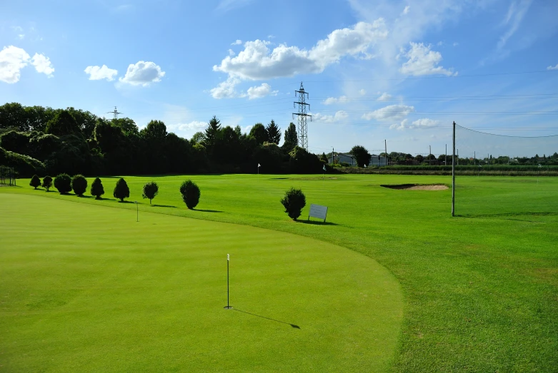 a green golf course has trees in the foreground