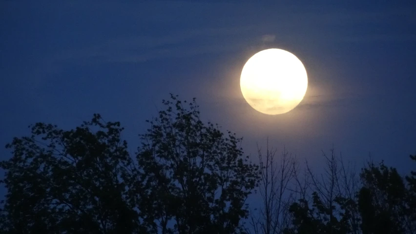 a full moon and some trees in the foreground