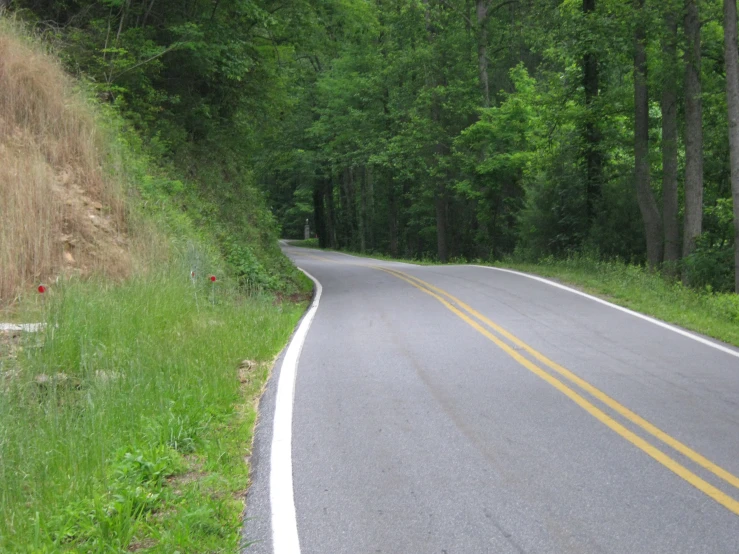 a long road with yellow lines is in the forest