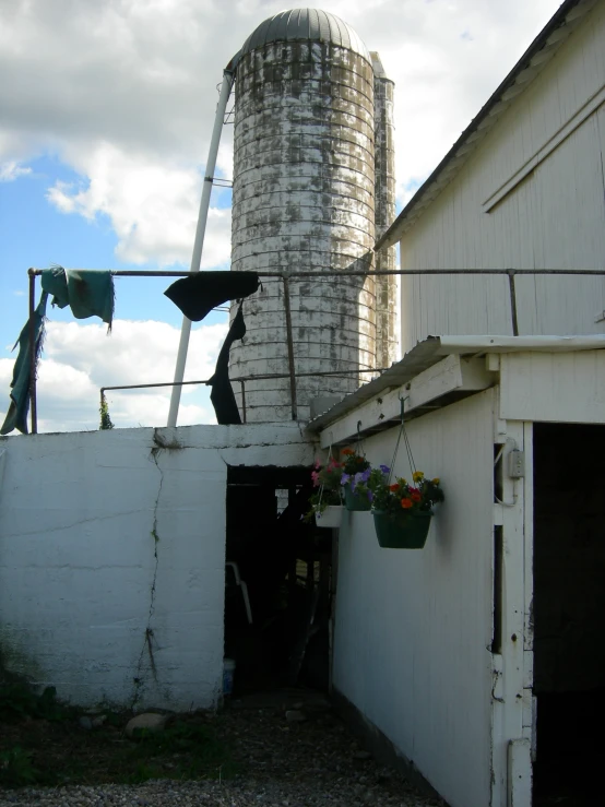 the building has many windows on both sides and a bunch of plants growing from it