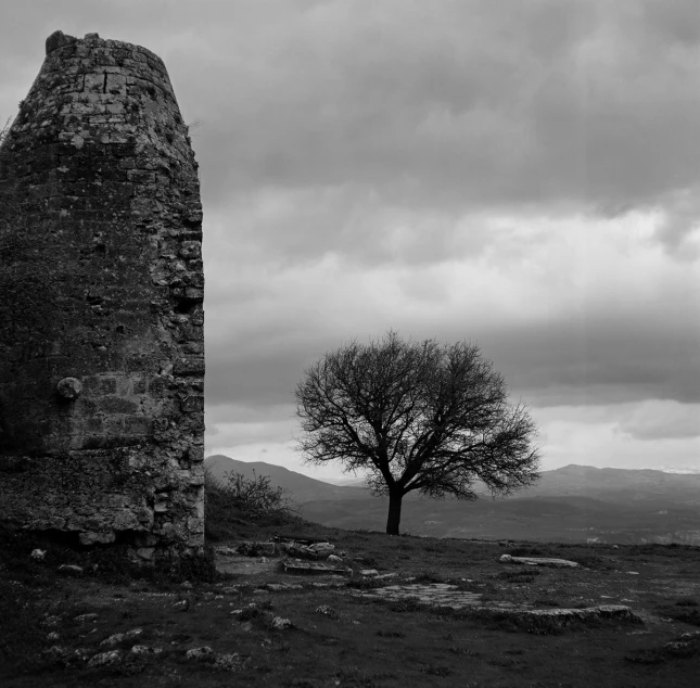 a stone tower and tree standing on a hill