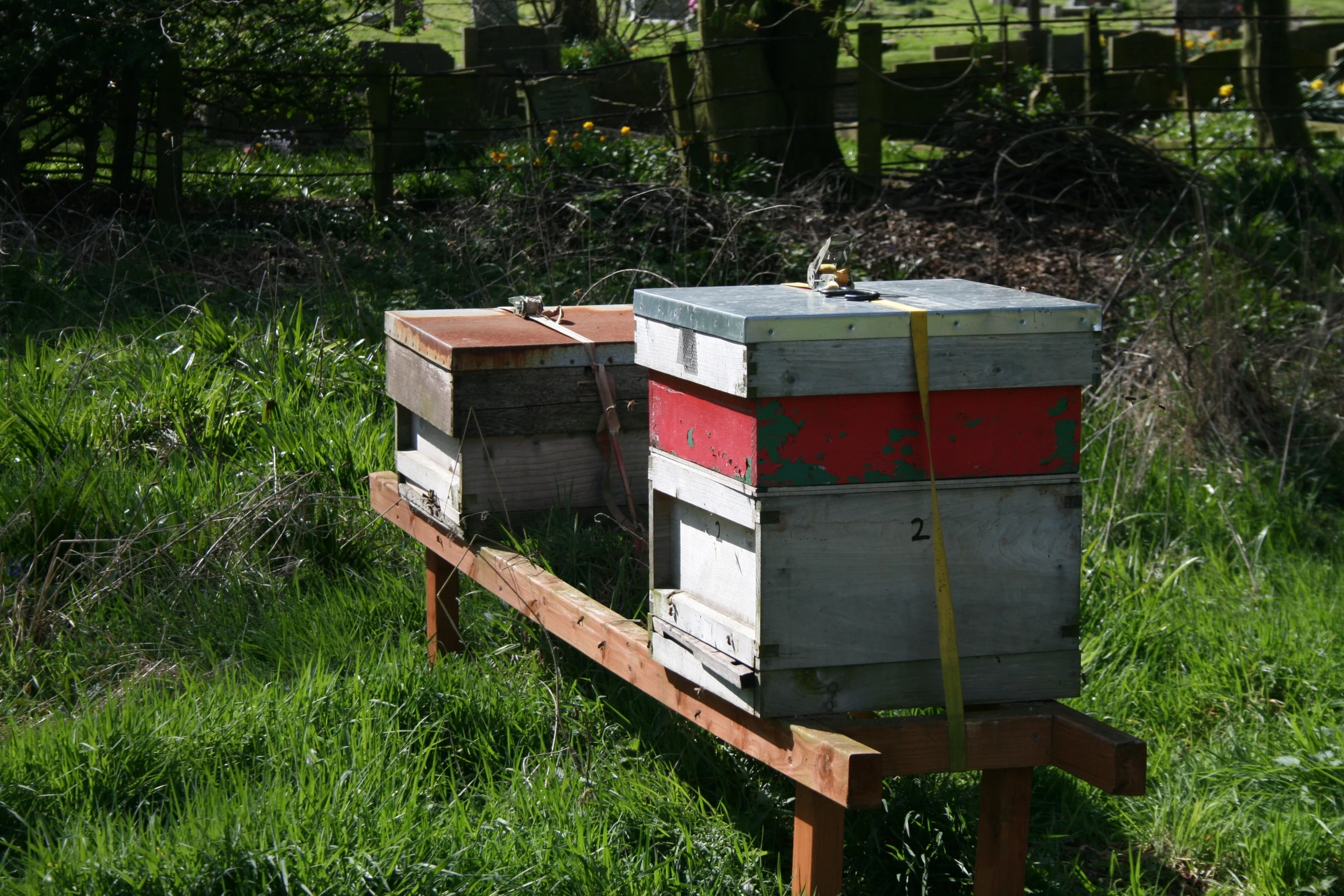 two beehiges on a wooden bench in a field