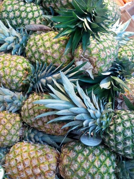 a pile of pineapple in many different colors