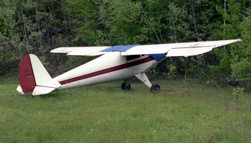 a plane sits abandoned in a grassy area
