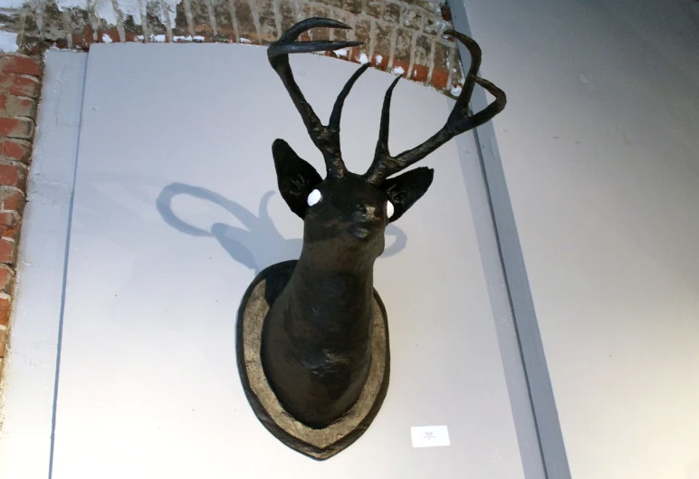 the back of a deer head mounted on the wall