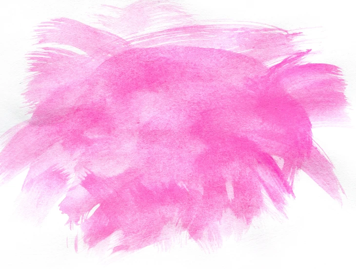 watercolor painting pink and white feathers