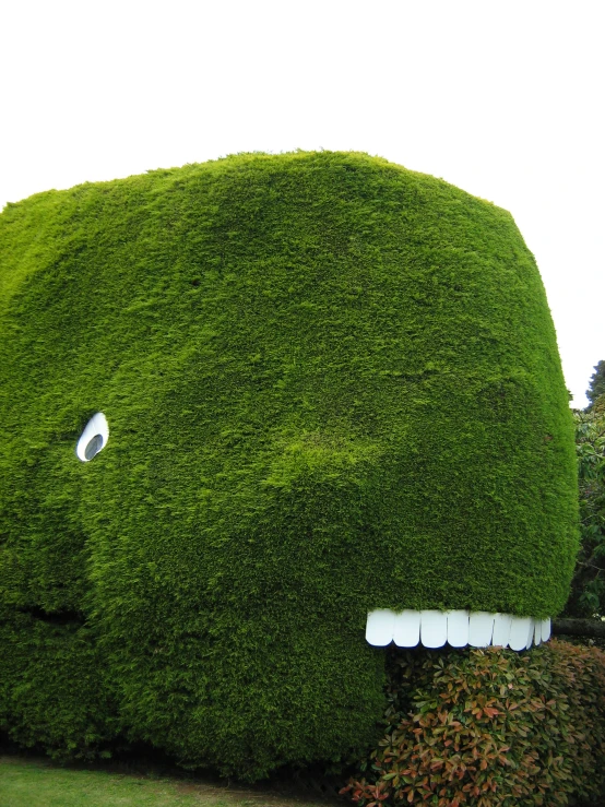 an elephant made out of bushes with a face cut out