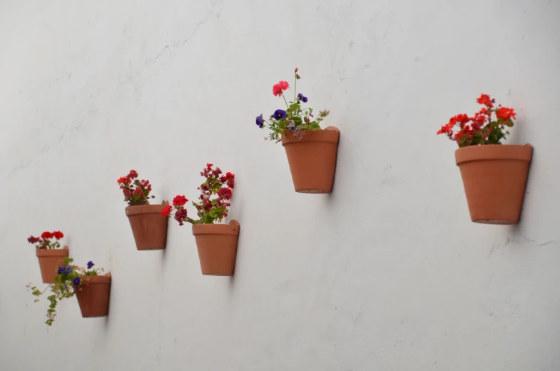 a wall has six different flower pots on it