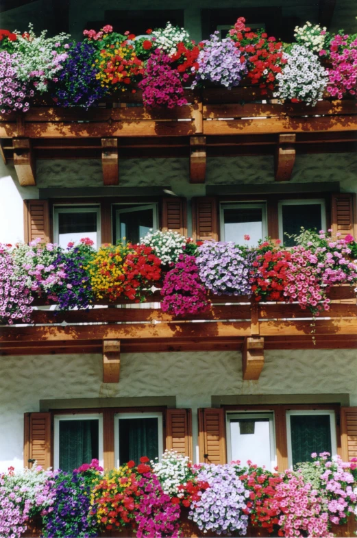 an image of a building with flowers growing from windows