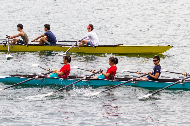 six rowers in row boats on calm water