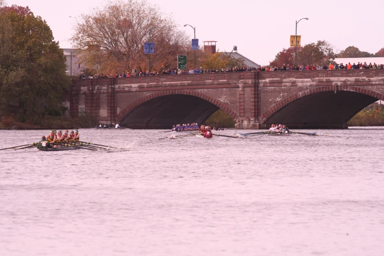 there are some boats that are in the water