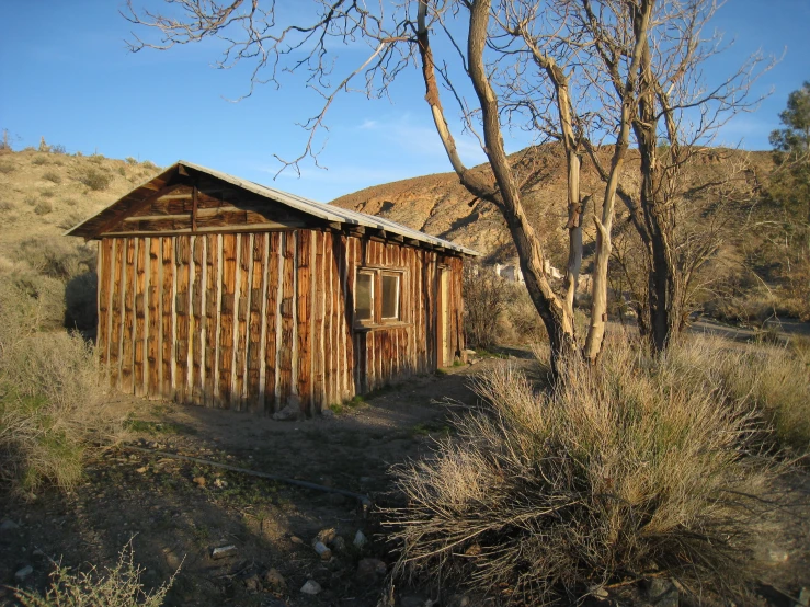 a outhouse in the desert with vegetation around it