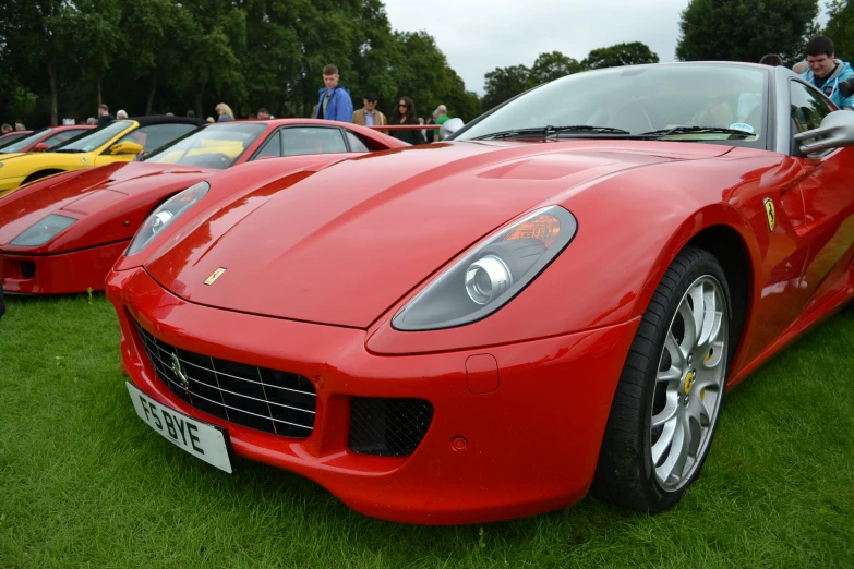 a group of ferrari cars are parked in the grass