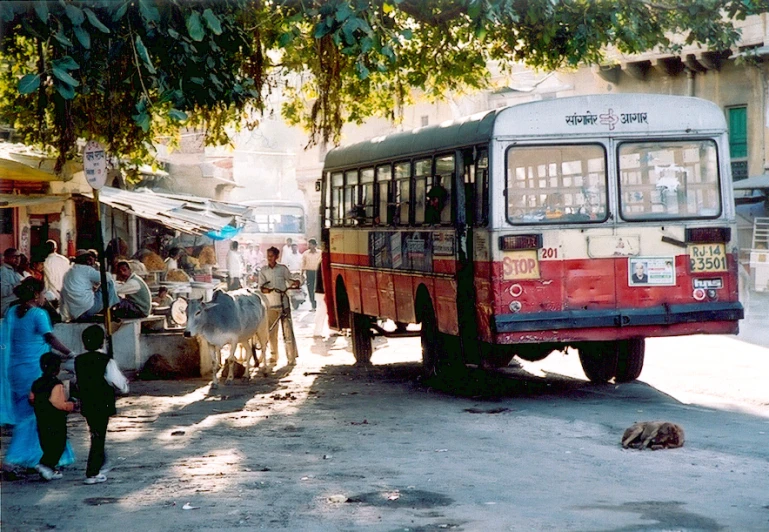 a man standing next to a street with parked buses