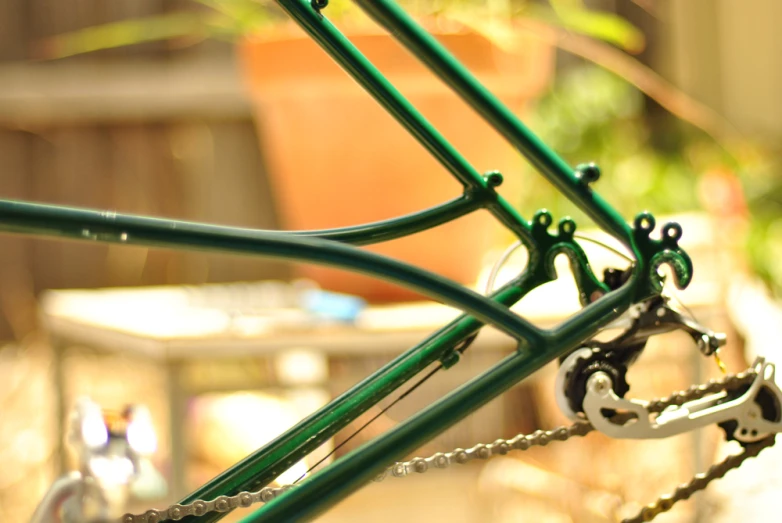 a close up s of a green bicycle bike's chain