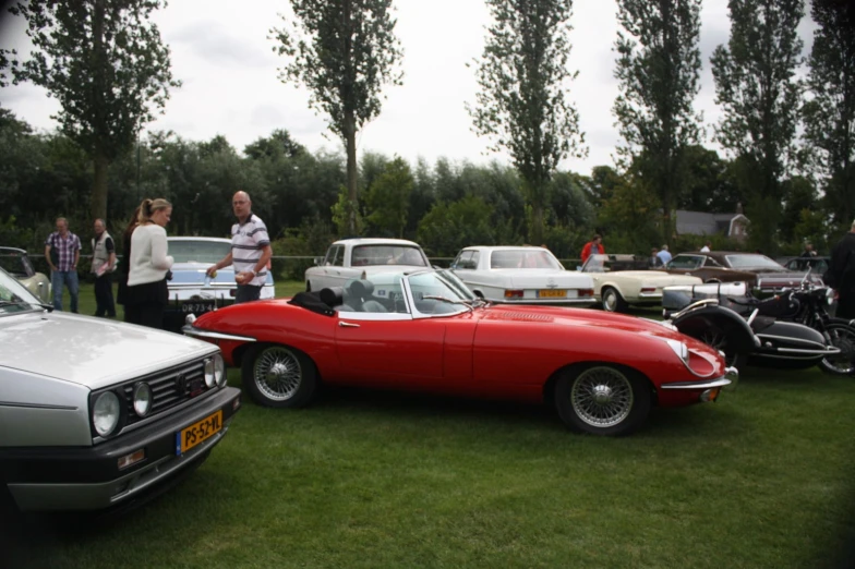 many vintage cars are on display in the grass